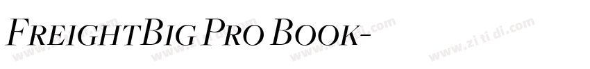 FreightBig Pro Book字体转换
